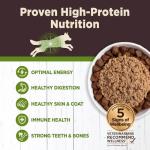 Wellness CORE Digestive Health Lamb Grain Free Wet Dog Food, 13 Ounce Can (Pack of 12)