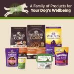 Wellness CORE Digestive Health Lamb Grain Free Wet Dog Food, 13 Ounce Can (Pack of 12)