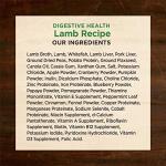 Wellness CORE Digestive Health Lamb Grain Free Wet Dog Food, 13 Ounce Can (Pack of 12)