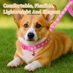 Giantree 3 Pcs Dog Collar and Leash Set, Nylon Puppy Collar and Leash Set, Puppy Collars with Bell Paw Print, Quick Release Buckle Adjustable Training Rope for Small Dogs Pet Cat Kitten