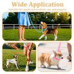 Giantree 3 Pcs Dog Collar and Leash Set, Nylon Puppy Collar and Leash Set, Puppy Collars with Bell Paw Print, Quick Release Buckle Adjustable Training Rope for Small Dogs Pet Cat Kitten