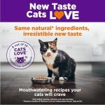 Wellness Complete Health Adult Dry Cat Food for Indoor and Outdoor Cats, Wholesome Grains, Natural, Chicken & Chicken Meal (5 Pound Bag)