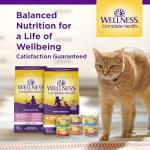 Wellness Complete Health Adult Dry Cat Food for Indoor and Outdoor Cats, Wholesome Grains, Natural, Chicken & Chicken Meal (5 Pound Bag)