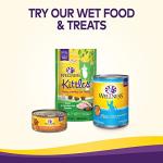 Wellness Complete Health Adult Dry Cat Food for Indoor Cats, Grain Free, Natural, Salmon and Herring Meal (5.5 Pound Bag)