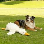 Nixegym Large Plush White Duck Dog Toy, Realistic Goose Design Dolls Suitable for Dogs Chew and Play, Best Indoor Puppies and Senior Pups (50cm 19.69inch)