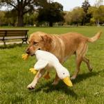 Nixegym Large Plush White Duck Dog Toy, Realistic Goose Design Dolls Suitable for Dogs Chew and Play, Best Indoor Puppies and Senior Pups (50cm 19.69inch)