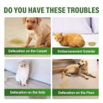 Fancy Pets Potty Training Spray for Dogs, Dog Deterrent Spray, Address Canine Inappropriate Elimination Habits for Indoor & Outdoor Environments, 120ml