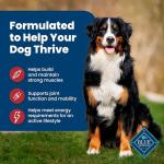 Blue Buffalo Life Protection Formula Adult Dry Dog Food, Helps Build and Maintain Strong Muscles, Made with Natural Ingredients, Beef & Brown Rice Recipe, 5-lb. Bag