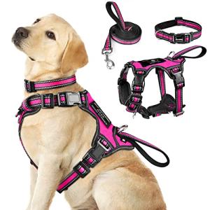 WINSEE Pet Harness Collar and Leash Set, All-in-one Reflective Dog Harness No Pull with Adjustable Buckles for Puppies, Small, Medium, Large, and Extra-Large Dogs (Large, Rosy)