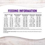 Wellness Complete Health Dry Dog Food with Grains, Natural Ingredients, Made in USA with Real Meat, All Breeds, For Adult Dogs (Healthy Weight - Chicken & Potatoes, 26-Pound Bag)