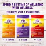 Wellness Complete Health Dry Dog Food with Grains, Natural Ingredients, Made in USA with Real Meat, All Breeds, For Adult Dogs (Healthy Weight - Chicken & Potatoes, 26-Pound Bag)