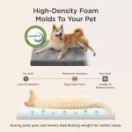 Bedsure Dog Beds Large Sized Dog- Orthopedic Pet Beds with Removable Machine Washable Cover, NOT Waterproof Egg Crate Foam Puppy Pad, Suitable for Pet Up to 50 lbs, 35"x22"