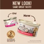 Wellness CORE+ Digestive Health Pate Adult Wet Cat Food, Natural, Protein-Rich, Grain Free, 3 Ounce, 12 Pack (Salmon)