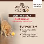 Wellness CORE+ Digestive Health Pate Adult Wet Cat Food, Natural, Protein-Rich, Grain Free, 3 Ounce, 12 Pack (Salmon)