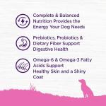Wellness Complete Health Dry Dog Food for Small Dogs, Toy Breed, Wholesome Grains, Natural, Chicken, Brown Rice, & Peas Recipe, 4-Pound Bag