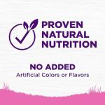 Wellness Complete Health Dry Dog Food for Small Dogs, Toy Breed, Wholesome Grains, Natural, Chicken, Brown Rice, & Peas Recipe, 4-Pound Bag