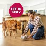 Kibbles 'n Bits Bistro Beef & Veggie Dog Food