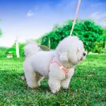 Hipubby Dog Harness and Leash Set, No Pull Soft Mesh Puppy Harness for Small Medium Dogs, Cats - Step in Reflective Breathable Lightweight Vest Harness for Walking, Training - Pink, XS