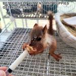 CYG&CL 14 Pack Pet Nursing Feeding Kit Pet Feeding Syringe for Cats Nipple for Kittens Nipple for Puppies Kitten Bottle Feeding Kit for Newborn Squirrels, Rabbits, Small Animals and Wildlife