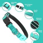 Kuley AirTag Dog Collar and Reflective Leash Set Bundle with Airtag Holder Case,Adjustable Padded Nylon Pet Collar for Small Medium Large Dogs(Teal, Extra-Small)