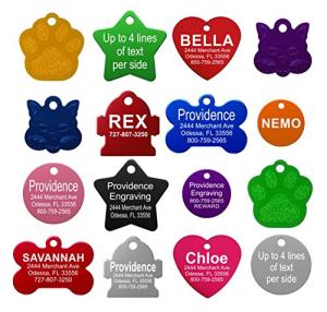 Personalized Pet ID Tags for Safety