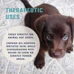 Rocco & Roxie No Chew Spray for Dogs, Bitter Dog Training Aid, Alcohol-Free Puppy Deterrent Formula with Calming Copaiba Oil, Safe Anti-Chew Solution for Skin, Furniture, Wounds & Plants - 8 oz