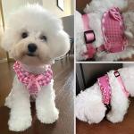 SuperBuddy Upgraded Soft Mesh Dog Harness, Super Breathable Lightweight Pet Harnesses for Puppy Dogs Outdoor Walking, Pink Dog Harness and Dog Leash Set Packing -XSmall