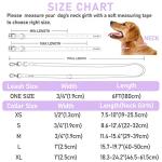 ZALER Dog Collar and Leash Set, Waterproof Adjustable Odor Proof Pet Collars Leashes Easy to Clean, 6FT Dog Leash with 2 Hooks for Large, Medium Small Dogs (S, Purple)