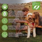 Only Natural Pet Hemp Hip & Joint Support for Dogs - Supplement for Mobility Wellness Pain Relief Healthy Inflammatory & Bone Stiffness - Chews w/Fatty Acid Blend Mussels & Turmeric - 120 Count (H/J)