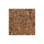 TetraMin Tropical Flake Food for Fish 2.2 oz