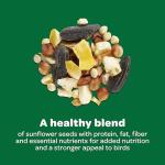 Kaytee Basic Seed Blend for Wild Birds, 5 lb
