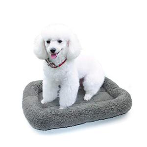Enjoying Cat Mat Bed 16" x 22" Pet Bed with Pillow Around for Dogs Cats Curled Sleeping Beds for Carrier/Crate Small to Medium Dog Cushion, Anti Skid Bottom, Medium