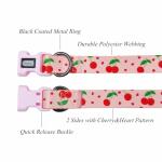 Olahibi Dog Collar Leash Set, Fruit Pattern, Polyester Material, Adjustable Collar and 5ft Matching Leash, for Medium Dogs.(M, Pink Cherry)