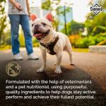 Diamond Maintenance Adult Dry Dog Food 22/12 for Moderately Active Dogs 40lb Bag