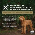 Diamond Maintenance Adult Dry Dog Food 22/12 for Moderately Active Dogs 40lb Bag