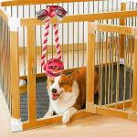 Engorgio Interactive Dog Chew Toys Crate Training Aids for Puppies, Puzzle Treat Dispenser with Rope Dogs Toy Ball Reduce Stress Anxiety Peanut Butter Dog Food Treat Dispenser Toys (Red)