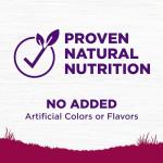 Wellness Complete Health Senior Dry Dog Food, Small Breed, Wholesome Grains, Natural, Age Advantage Turkey & Peas Recipe, (4-Pound Bag)