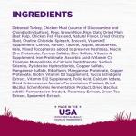 Wellness Complete Health Senior Dry Dog Food, Small Breed, Wholesome Grains, Natural, Age Advantage Turkey & Peas Recipe, (4-Pound Bag)