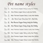 Anavia Slide On Silent Pet ID Tags, S/M/L/XL Personalized Multi-Color Silicone Band Cat Dog Name Tags, Customized Engraved Stainless Steel, Chew-Proof Quiet Dog Collar Tags (X-Large, White)