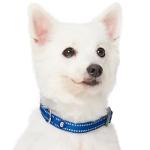 Blueberry Pet Essentials Reflective Dog Collar & Leash Set, Adjustable for Small Dogs | Safe Walking Gear for Pet Parents, Puppy Training & Daily Use SmallDogs, Navy