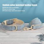 Beirui Soft Padded PU Leather Dog Collar and Leash Set, Durable Dog Leash and Collar Set with Metal Buckle, Breathable Pet Collars with 4FT Leash for Large Dogs(Blue, Neck 16-21")