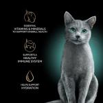 Sheba Perfect Portions Wet Cat Food Cuts in Gravy, Roasted Chicken Entree, with Sustainable Tuna, Tender Turkey Entree, 2.6 oz. Twin-Pack Trays (36 Count, 72 Servings)