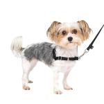 PetSafe Easy Walk Harness for Dogs - Pull-Free Walks - Patented Martingale Loop Design - Front Chest Leash Attachment - Comfort Straps - Breathable Harness Design - Petite/Small, Black/Silver