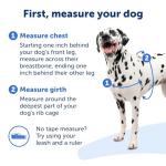 PetSafe Easy Walk Harness for Dogs - Pull-Free Walks - Patented Martingale Loop Design - Front Chest Leash Attachment - Comfort Straps - Breathable Harness Design - Petite/Small, Black/Silver