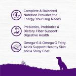 Wellness Complete Health Dry Dog Food with Grains, Made in USA with Real Meat & Natural Ingredients, All Breeds, Adult Dogs (Lamb & Barley, 30-lb) – With Nutrients for Immune, Skin, & Coat Support,