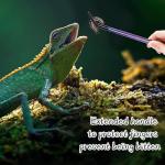 2PCS Stainless Steel Reptile Feeding Tongs with Rubber Tip, 10.6" Straight & Curved Long Tweezers, Perfect for Aquariums & Crafts - Ideal Bearded Dragon & Snake Tank Accessories, Terrarium Supplies