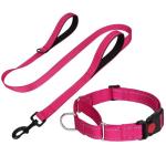 FunTags Reflective Martingale Collar for Dogs, Quick Release Buckle, 5FT Double Handle Dog Leash Padded, Dog Collar and Leash Set, Adjustable for Medium Dogs (Hotpink, M)