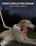 FunTags Reflective Martingale Collar for Dogs, Quick Release Buckle, 5FT Double Handle Dog Leash Padded, Dog Collar and Leash Set, Adjustable for Medium Dogs (Hotpink, M)