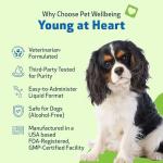 Pet Wellbeing Young at Heart for Dogs - Senior Heart Health Support, Cardiovascular Wellness & Vitality - NASC Certified & Vet-Formulated - 2 oz Liquid Formula