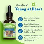 Pet Wellbeing Young at Heart for Dogs - Senior Heart Health Support, Cardiovascular Wellness & Vitality - NASC Certified & Vet-Formulated - 2 oz Liquid Formula